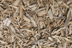 biomass boilers Tyn Y Bryn